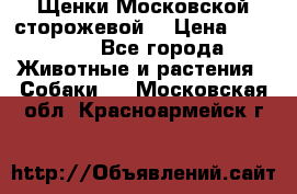 Щенки Московской сторожевой  › Цена ­ 25 000 - Все города Животные и растения » Собаки   . Московская обл.,Красноармейск г.